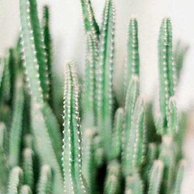 开玩棋牌手机app下载